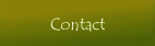 Contact, online form