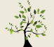 family tree